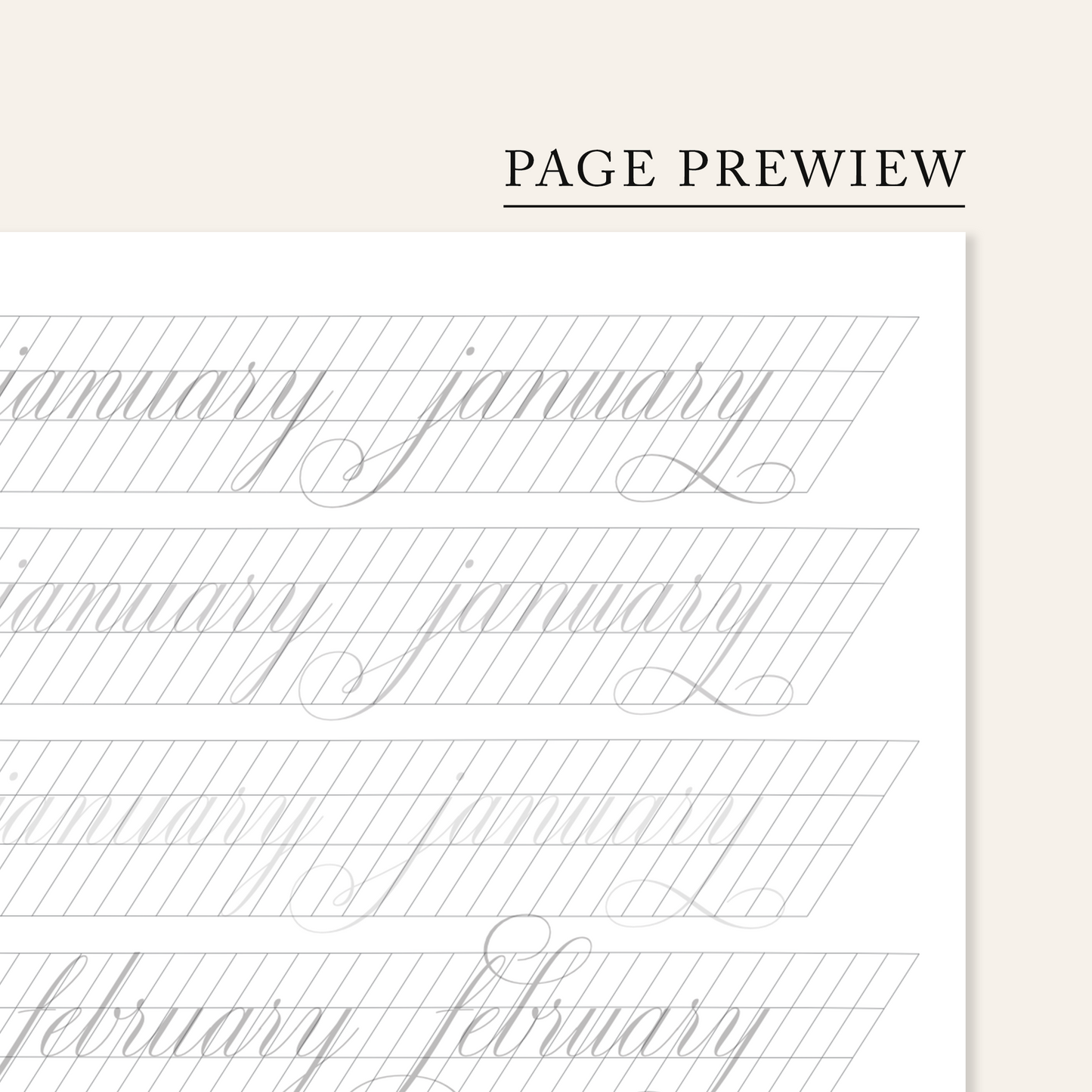 Copperplate flourishing loops swashes and decorative words workbook second page preview